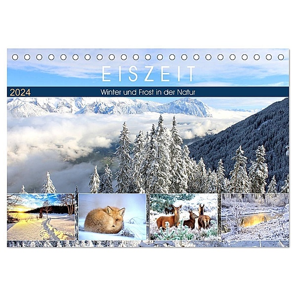 Eiszeit. Winter und Frost in der Natur (Tischkalender 2024 DIN A5 quer), CALVENDO Monatskalender, Rose Hurley