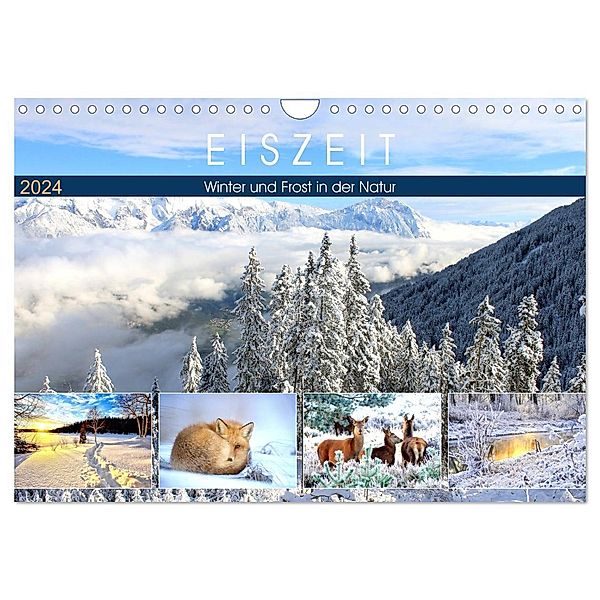 Eiszeit. Winter und Frost in der Natur (Wandkalender 2024 DIN A4 quer), CALVENDO Monatskalender, Rose Hurley