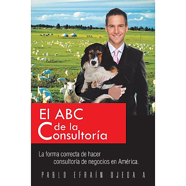 El Abc De La Consultoría, Pablo Ojeda