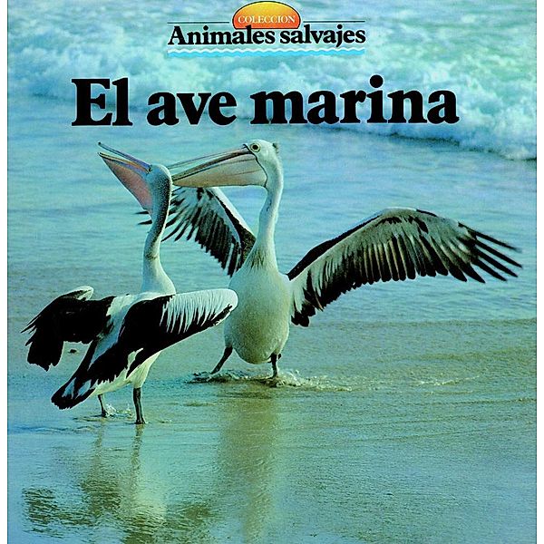 El ave marina