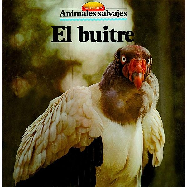 El buitre