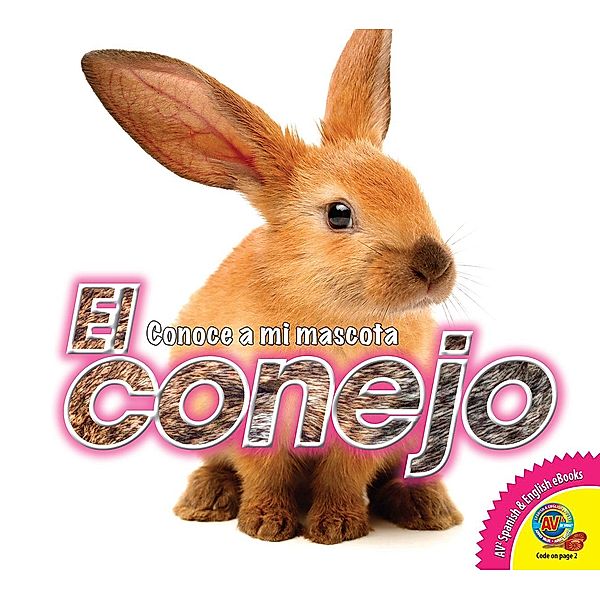 El conejo, Jared Siemens