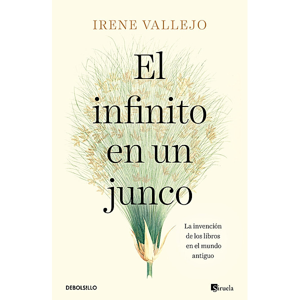 El infinito en un junco, Irene Vallejo