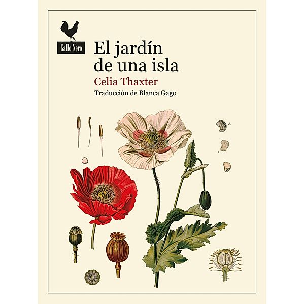El jardín de una isla / Narrativas Gallo Nero Bd.81, Celia Thaxter