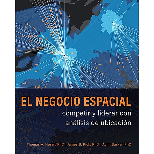 El negocio espacial, Thomas A. Horan, James B. Pick, Avijit Sarkar