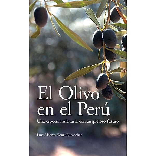 El Olivo en el Perú, Luis Alberto Kouri Bumachar
