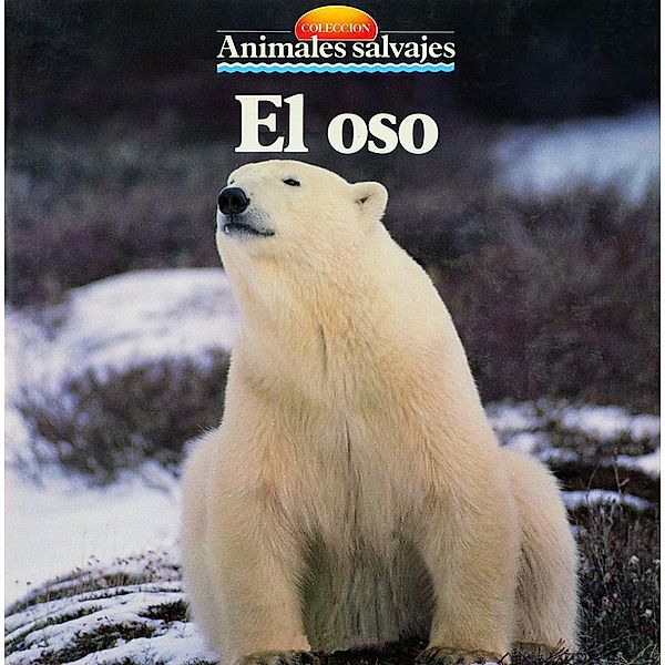 El oso