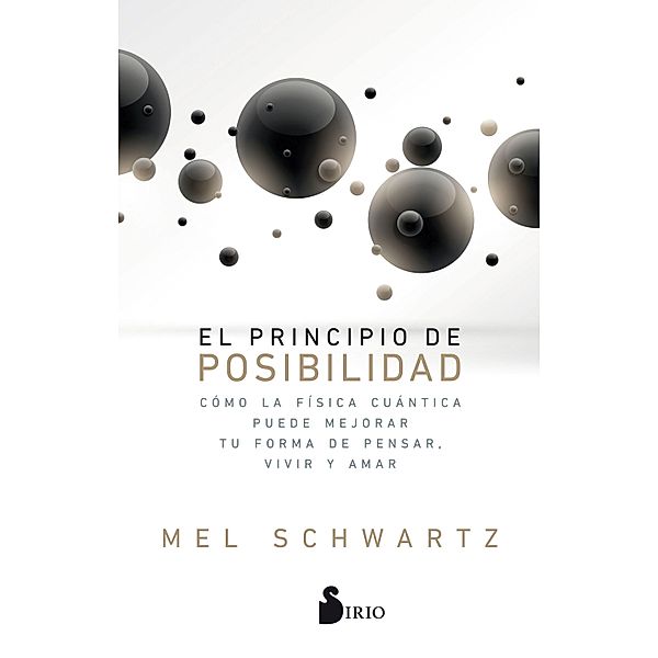 El principio de posibilidad, Mel Schwartz