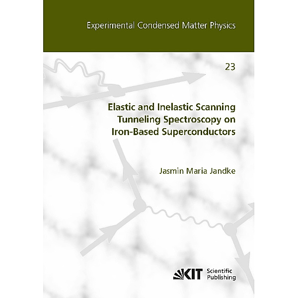 Elastic and Inelastic Scanning Tunneling Spectroscopy on Iron-Based Superconductors, Jasmin Maria Jandke