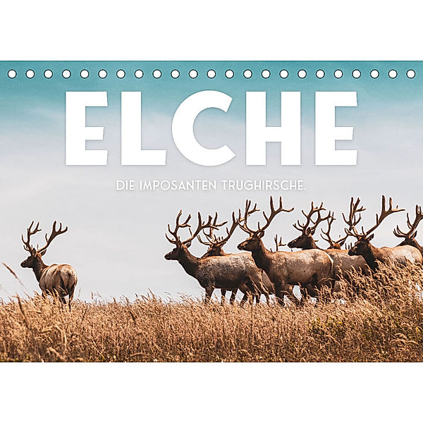 Elche - Die imposanten Trughirsche. (Tischkalender 2023 DIN A5 quer), SF