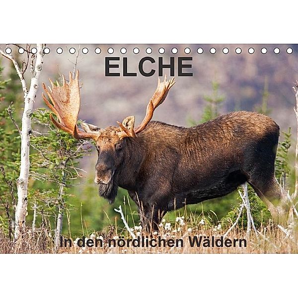 ELCHE In den nördlichen Wäldern (Tischkalender 2017 DIN A5 quer), Philippe Henry