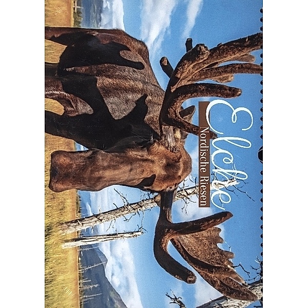 Elche: Nordische Riesen (Wandkalender 2023 DIN A4 quer), Calvendo
