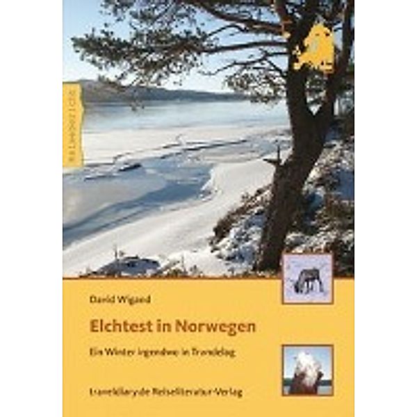 Elchtest in Norwegen, David Wigand