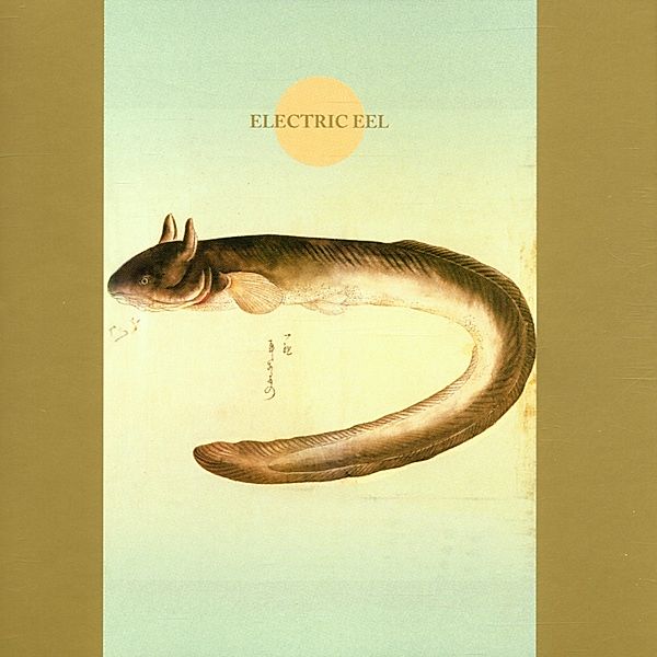 Electric Eel, Makigami Koichi