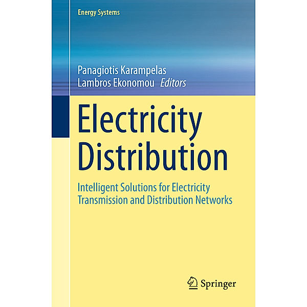 Electricity Distribution