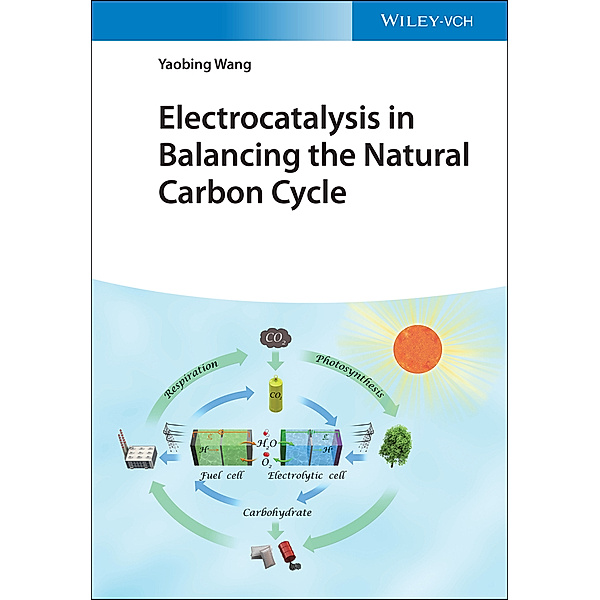 Electrocatalysis in Balancing the Natural Carbon Cycle, Yaobing Wang