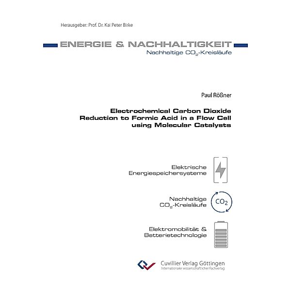 Electrochemical Carbon Dioxide Reduction to Formic Acid in a Flow Cell using Molecular Catalysts, Paul Rößner