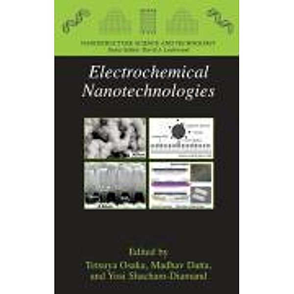 Electrochemical Nanotechnologies / Nanostructure Science and Technology
