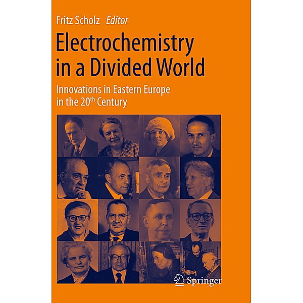 Electrochemistry in a Divided World