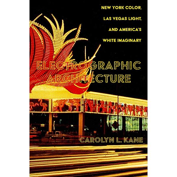Electrographic Architecture, Carolyn L. Kane