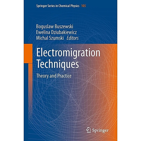 Electromigration Techniques / Springer Series in Chemical Physics Bd.105