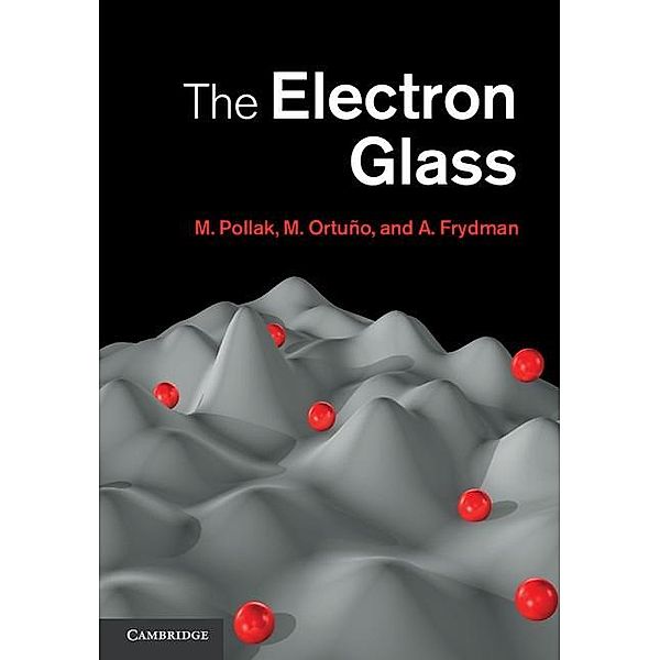 Electron Glass, M. Pollak