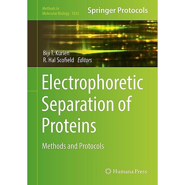 Electrophoretic Separation of Proteins / Methods in Molecular Biology Bd.1855