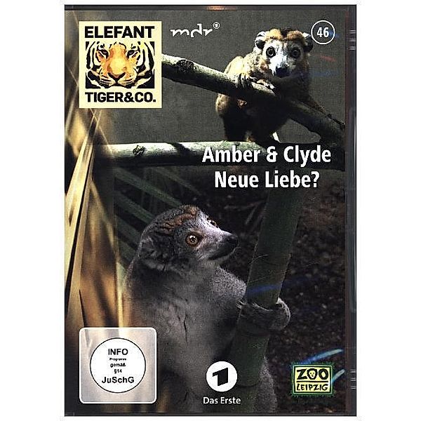 Elefant, Tiger & Co. - Amber & Clyde - Neue Liebe?,DVD