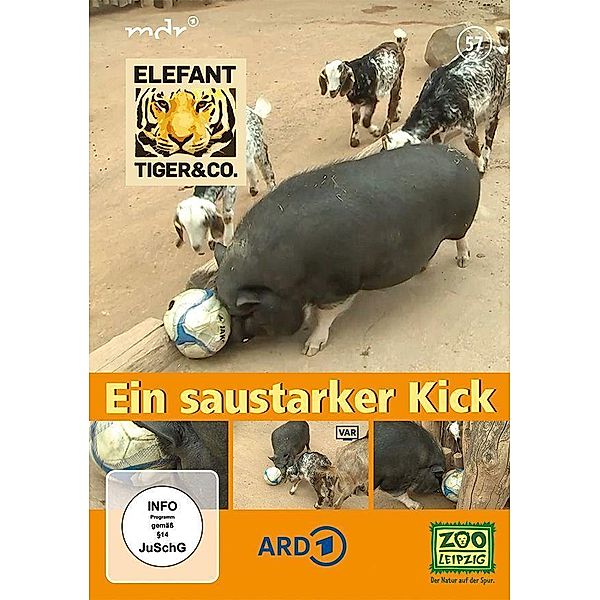 Elefant, Tiger & Co. - Ein saustarker Kick, 1 DVD Film | Weltbild.at