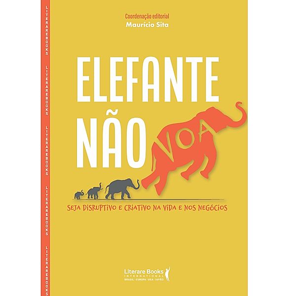 Elefante não voa, Mauricio Sita