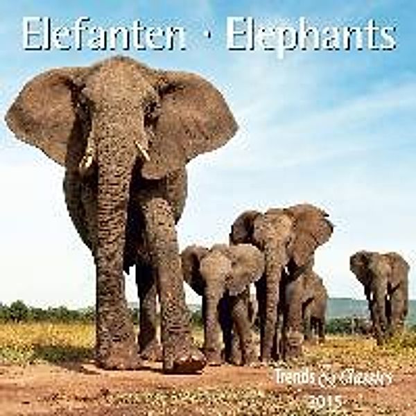 Elefanten 2015. Elephants