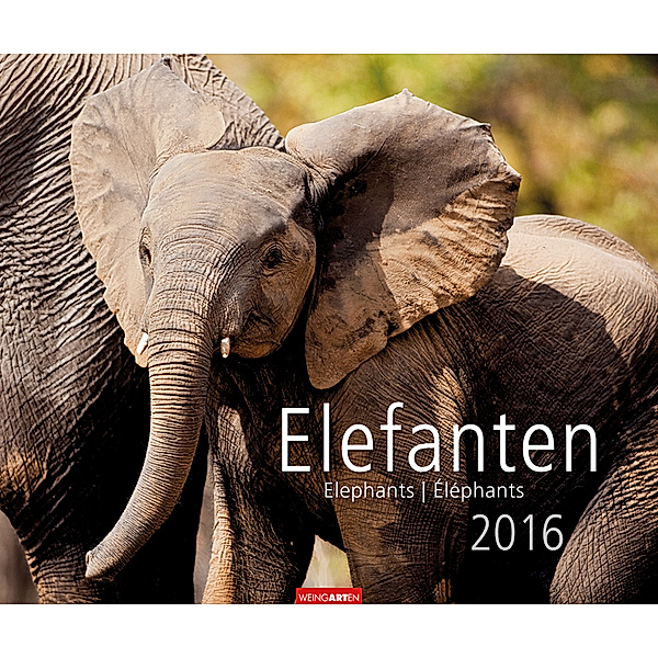 Elefanten 2016