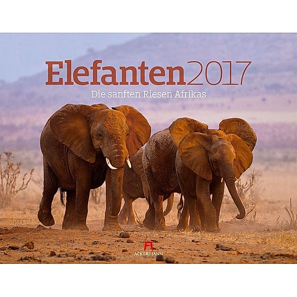 Elefanten 2017