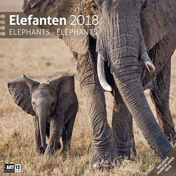 Elefanten 2018