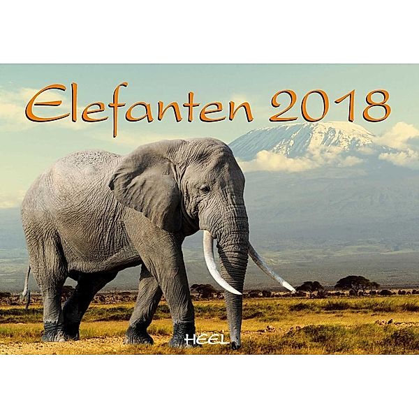 Elefanten 2018