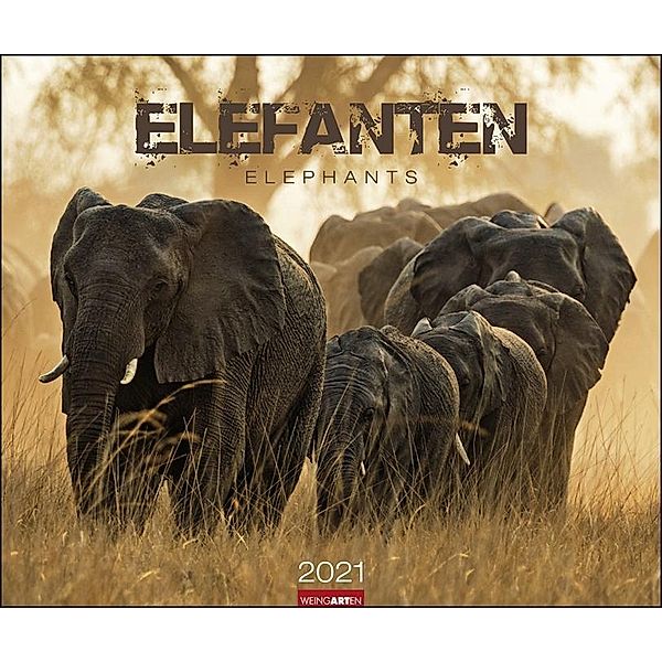 Elefanten 2020