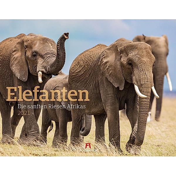 Elefanten 2021