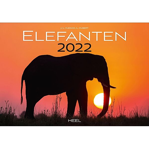 Elefanten 2022