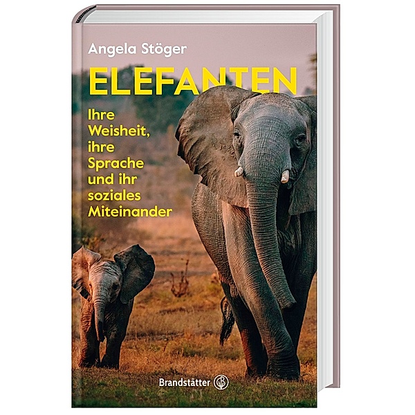 Elefanten, Angela Stöger