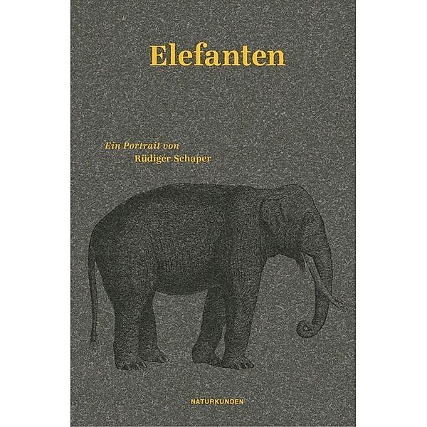 Elefanten, Rüdiger Schaper