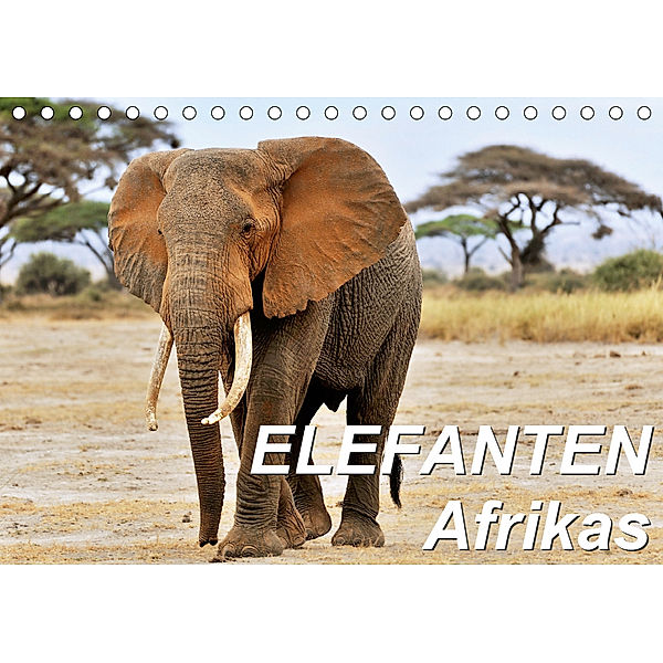 Elefanten Afrikas (Tischkalender 2019 DIN A5 quer), Jürgen Feuerer