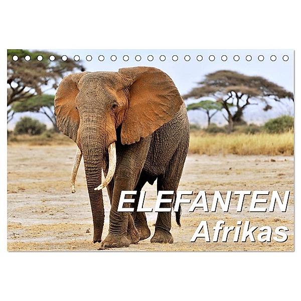Elefanten Afrikas (Tischkalender 2024 DIN A5 quer), CALVENDO Monatskalender, Jürgen Feuerer