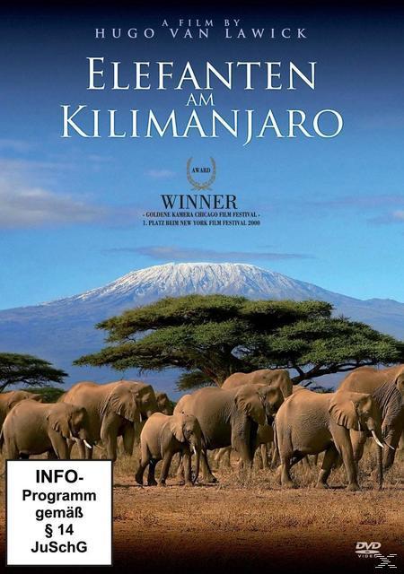 Image of Elefanten am Kilimanjaro