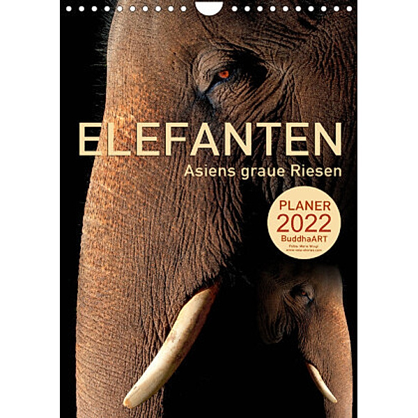 ELEFANTEN - Asiens graue Riesen (Wandkalender 2022 DIN A4 hoch), BuddhaART