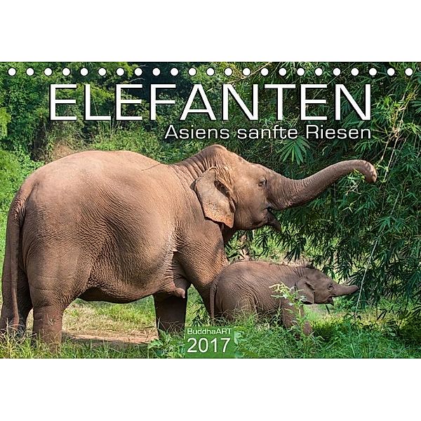 ELEFANTEN Asiens sanfte Riesen (Tischkalender 2017 DIN A5 quer), BuddhaART