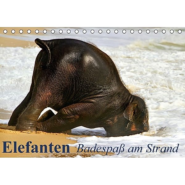 Elefanten - Badespaß am Strand (Tischkalender immerwährend DIN A5 quer), Elisabeth Stanzer