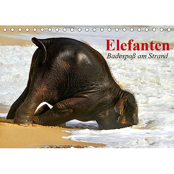 Elefanten. Badespaß am Strand (Tischkalender 2019 DIN A5 quer), Elisabeth Stanzer