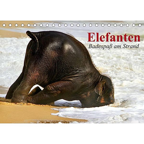 Elefanten. Badespaß am Strand (Tischkalender 2023 DIN A5 quer), Elisabeth Stanzer