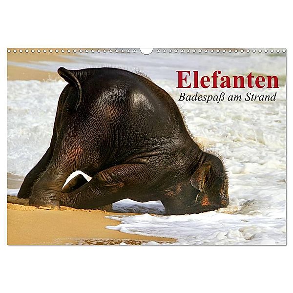 Elefanten. Badespaß am Strand (Wandkalender 2024 DIN A3 quer), CALVENDO Monatskalender, Elisabeth Stanzer