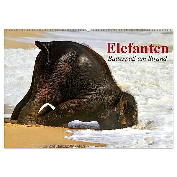 Elefanten. Badespaß am Strand (Wandkalender 2024 DIN A2 quer), CALVENDO Monatskalender, Elisabeth Stanzer